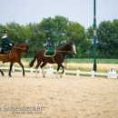 Reitvorführungen - 20-jähriges Jubiläum IG Damensattel Österreich