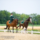 Reitvorführungen - 20-jähriges Jubiläum IG Damensattel Österreich