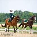 Reitvorführungen - 20-jähriges Jubiläum IG Damensattel Österreich
