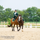 Reitvorführungen - 20-jähriges Jubiläum IG Damensattel Österreich