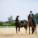 Reitvorführungen - 20-jähriges Jubiläum IG Damensattel Österreich