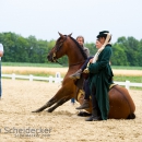 Reitvorführungen - 20-jähriges Jubiläum IG Damensattel Österreich