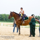 Reitvorführungen - 20-jähriges Jubiläum IG Damensattel Österreich