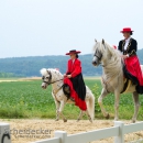 Reitvorführungen - 20-jähriges Jubiläum IG Damensattel Österreich