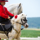 Reitvorführungen - 20-jähriges Jubiläum IG Damensattel Österreich