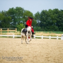 Reitvorführungen - 20-jähriges Jubiläum IG Damensattel Österreich