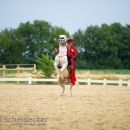 Reitvorführungen - 20-jähriges Jubiläum IG Damensattel Österreich