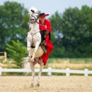 Reitvorführungen - 20-jähriges Jubiläum IG Damensattel Österreich