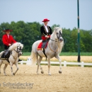 Reitvorführungen - 20-jähriges Jubiläum IG Damensattel Österreich