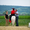 Reitvorführungen - 20-jähriges Jubiläum IG Damensattel Österreich
