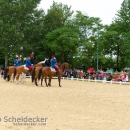 Reitvorführungen - 20-jähriges Jubiläum IG Damensattel Österreich