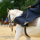 Reitvorführungen - 20-jähriges Jubiläum IG Damensattel Österreich