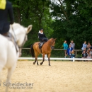 Reitvorführungen - 20-jähriges Jubiläum IG Damensattel Österreich