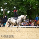 Reitvorführungen - 20-jähriges Jubiläum IG Damensattel Österreich