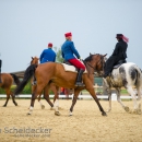 Reitvorführungen - 20-jähriges Jubiläum IG Damensattel Österreich