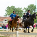 Reitvorführungen - 20-jähriges Jubiläum IG Damensattel Österreich