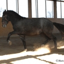 Ronja & Alea 2008