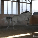 Ronja & Alea 2008