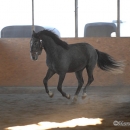 Ronja & Alea 2008