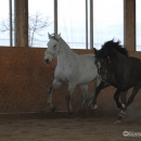 Ronja & Alea 2008