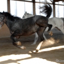 Ronja & Alea 2008