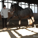 Ronja & Alea 2008