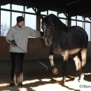 Ronja & Alea 2008
