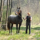 Maestoso Alea 2009
