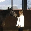Maestoso Alea und Ronja