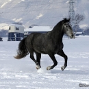 Spass im Schnee