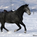 Spass im Schnee