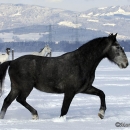 Spass im Schnee