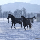 Spass im Schnee