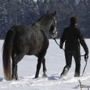 Maestoso Alea - Winterausflug