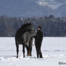Maestoso Alea - Winterausflug