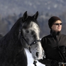 Maestoso Alea - Winterausflug