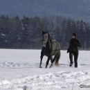 Maestoso Alea - Winterausflug