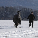 Maestoso Alea - Winterausflug
