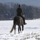 Maestoso Alea - Winterausflug