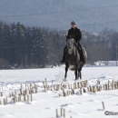 Maestoso Alea - Winterausflug