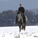 Maestoso Alea - Winterausflug
