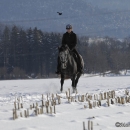 Maestoso Alea - Winterausflug