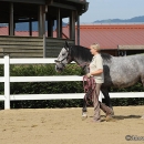 Maestoso Alea - erstes Training
