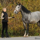 Maestoso Alea im Herbst
