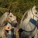 Maestoso Alea & Ronja in der Frutz
