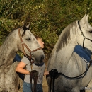 Maestoso Alea & Ronja in der Frutz