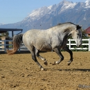 Herbst 2011