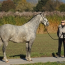 Herbst 2011