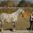 Herbst 2011