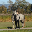 Herbst 2011